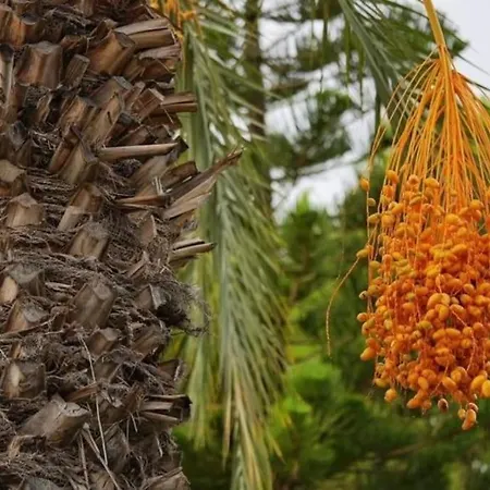 Apartament Na Cyprze Peja