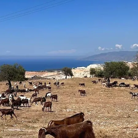 Na Cyprze Apartament Peja