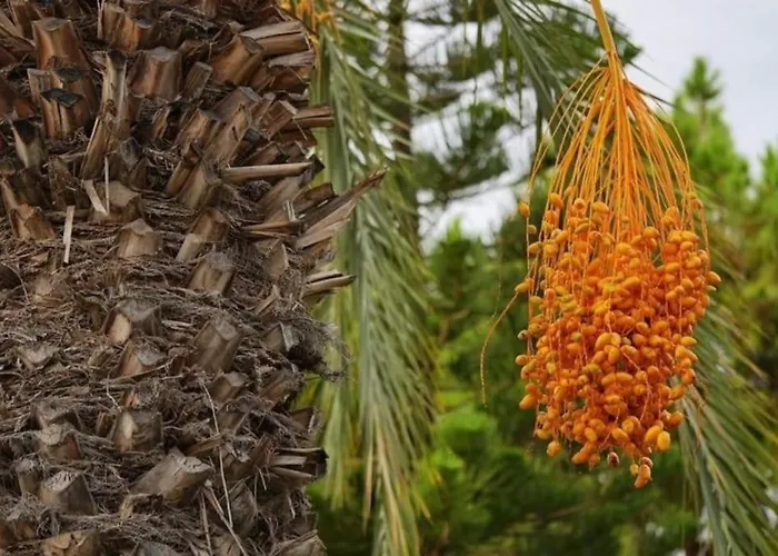 Апартаменты Na Cyprze Пейя