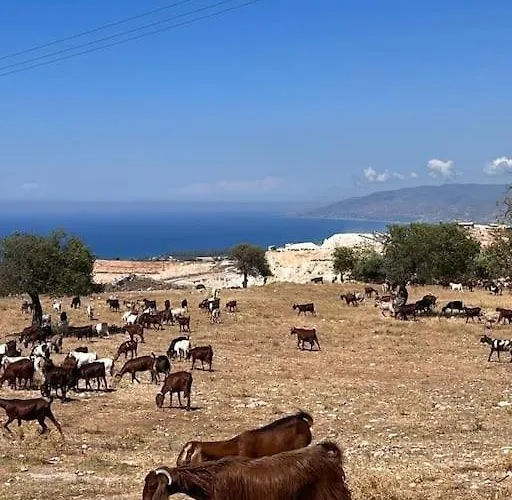 Na Cyprze Apartmán Pegeia
